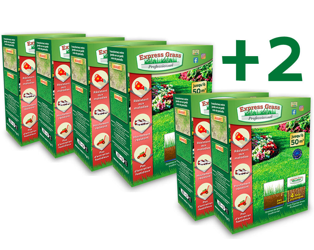 4 + 2 pakker Express Grass Professionnel græsfrø